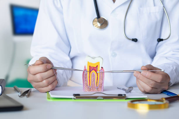 Best Cracked Tooth Emergency Dentist  in Orcdlands Estates, HI